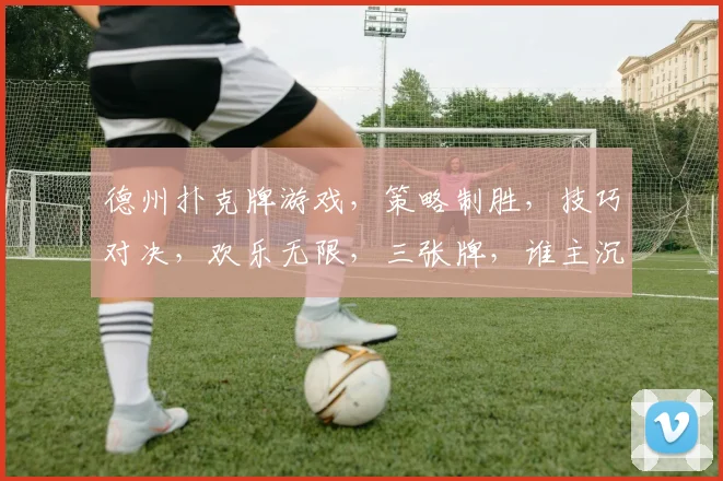 德州扑克牌游戏，策略制胜，技巧对决，欢乐无限，三张牌，谁主沉浮