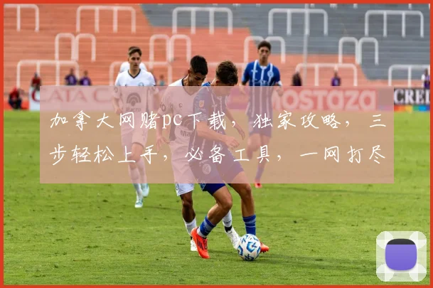 加拿大网赌pc下载，独家攻略，三步轻松上手，必备工具，一网打尽