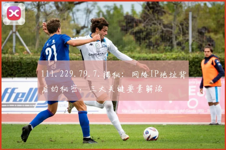 111.229.79.7.揭秘：网络IP地址背后的秘密，三大关键要素解读